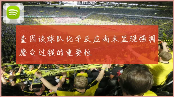 奎因谈球队化学反应尚未显现强调磨合过程的重要性